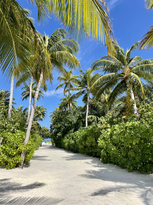 Strand Cinnamon Velifushi Maldives - Free One-Way Speedboat and 02 Kids Under 12 Stay & Dine Free