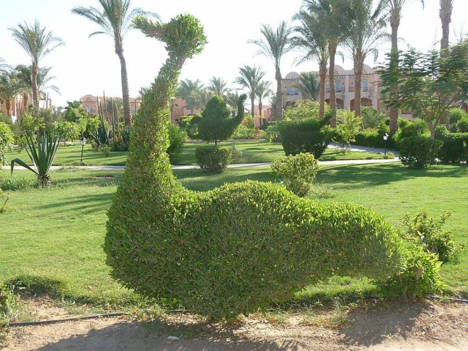 Auf dem Weg zum Strand Jaz Makadi Oasis Resort