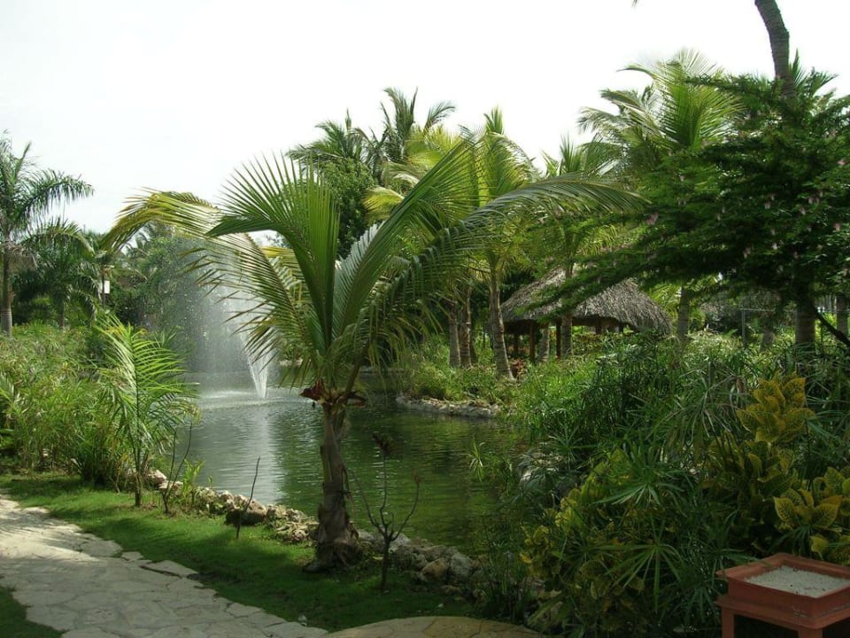 Garten Catalonia Punta Cana - All Inclusive