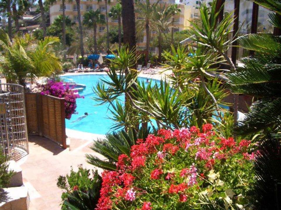 Unterer Pool Corallium Dunamar by Lopesan Hotels