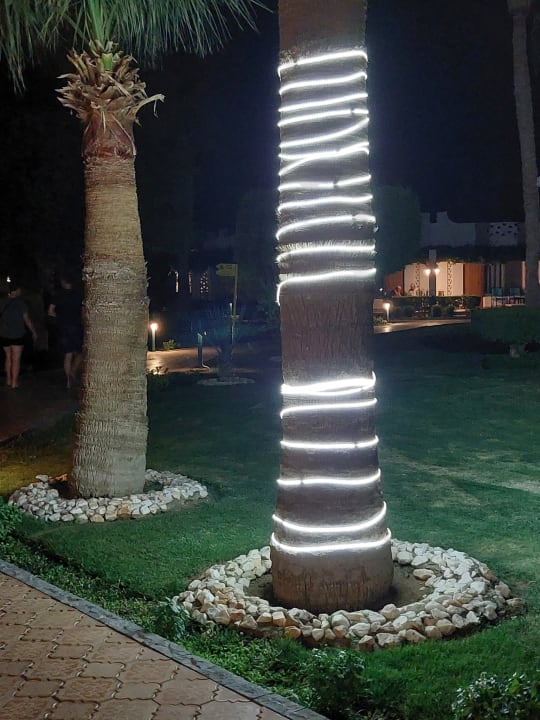 Gartenanlage Shams Safaga Resort