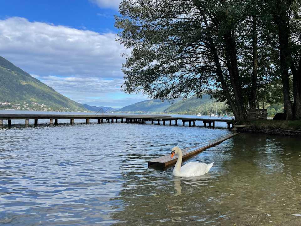 Ausblick ROBINSON LANDSKRON