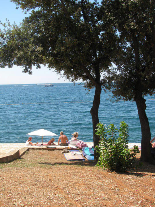 Strandbereich mit Baumbestand Maistra Select Belvedere Resort