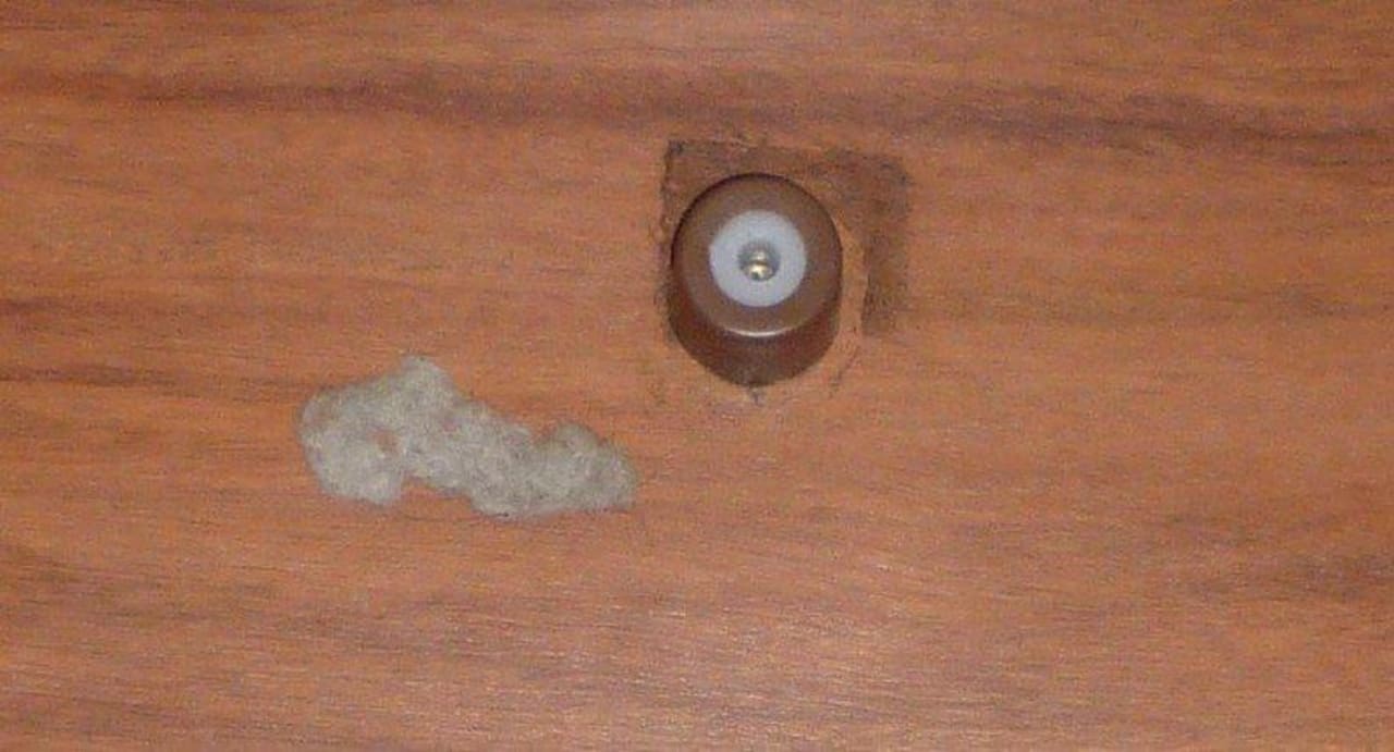 Wollmäuse Ole Tropical Tenerife