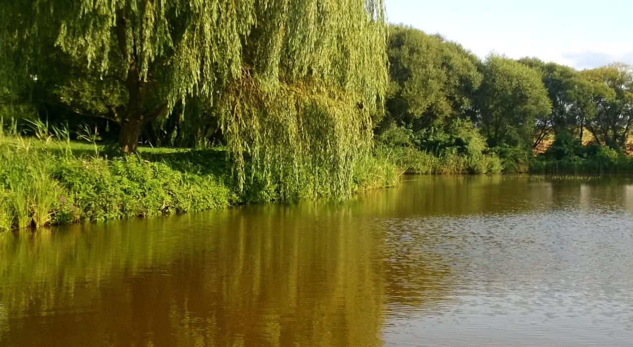 Gartenanlage Siedlisko Orlik - Villa Orlik