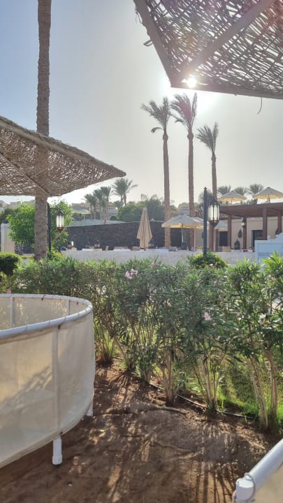 Gartenanlage Makadi Spa - Adults only