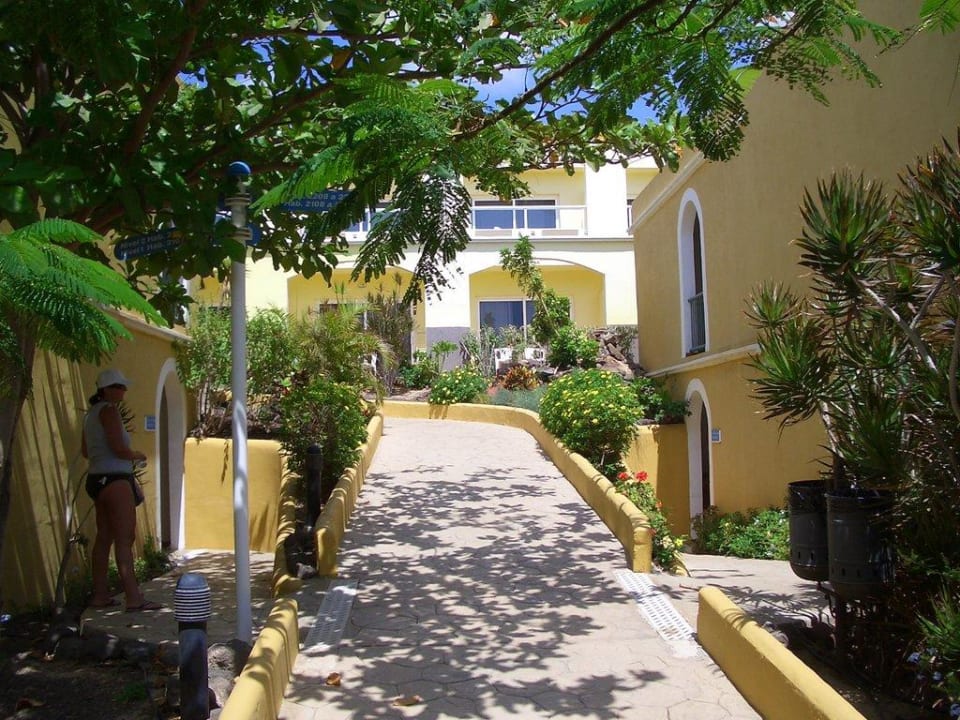 Schön gepflegte Gartenanlage AluaVillage Fuerteventura