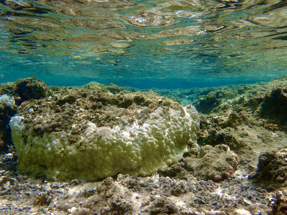 Strand Lazuli Hotel Marsa Alam