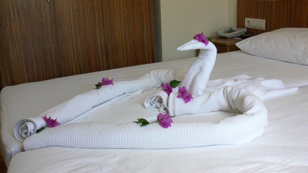5 € wurden zum Schwan Havana Hotel