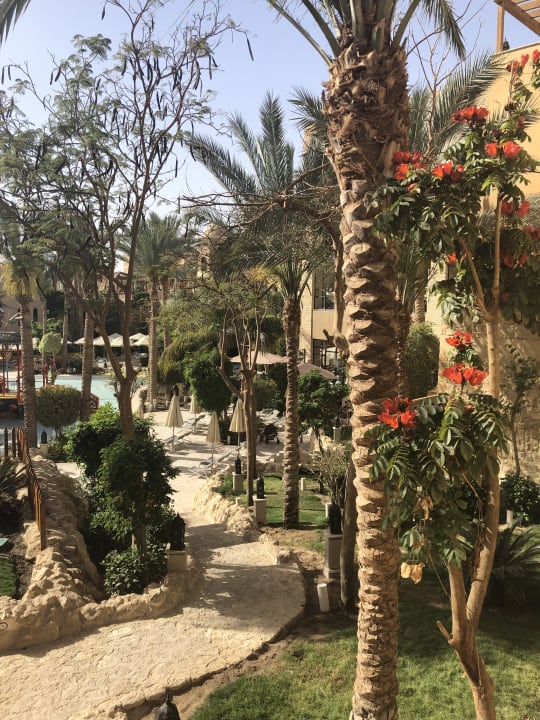 Gartenanlage Grand Waterworld Makadi & Family Star Makadi