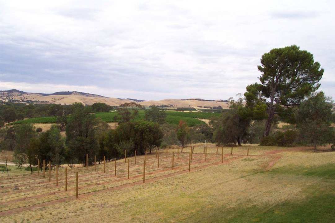 Novotel Barossa Valley Hotel Novotel Barossa Valley