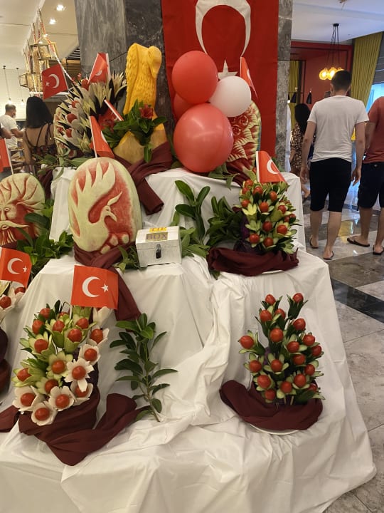 Gastro Seashell Vega