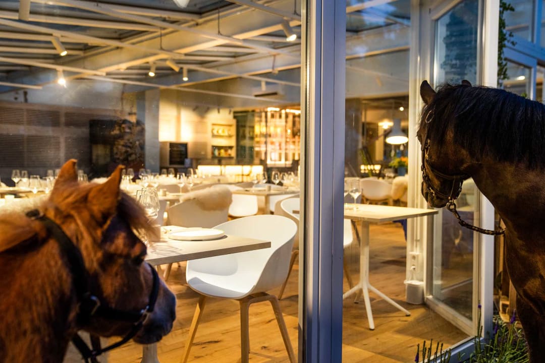 Gastro Gartenhotel Fettehenne