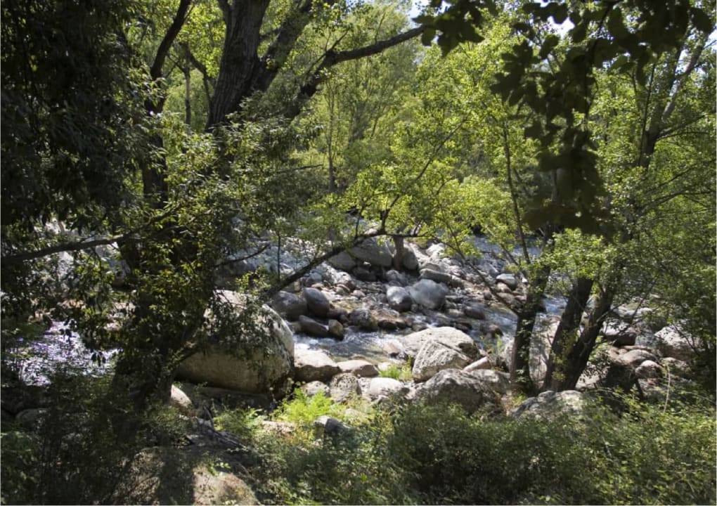 Außenansicht Hotel E Caselle