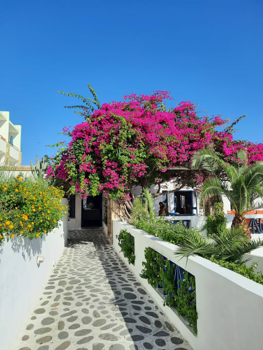 Außenansicht Ekaterini Hotel