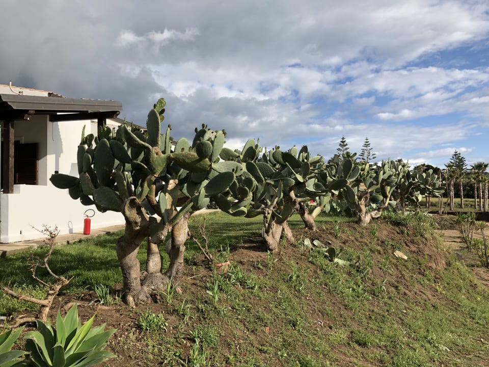 Außenansicht Borgo Donna Canfora