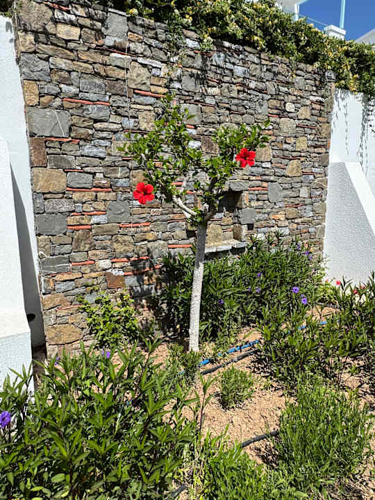 Gartenanlage Atrium Prestige Thalasso Spa Resort & Villas