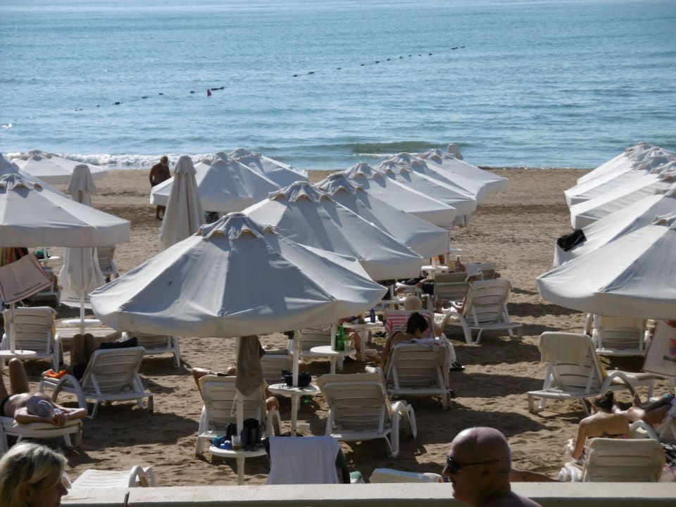 Hier fühlt man sich wohl Arum Barut Collection