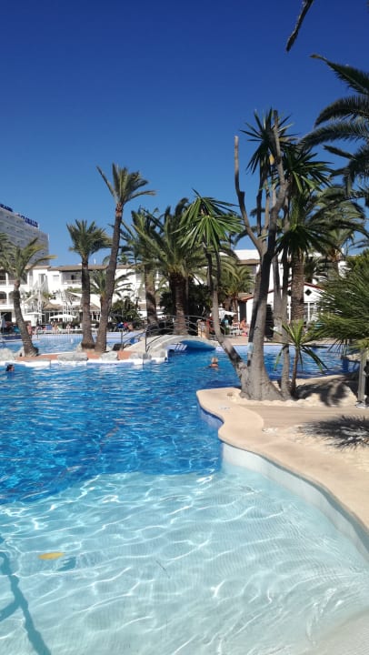 Pool Alcudia Garden Aparthotel