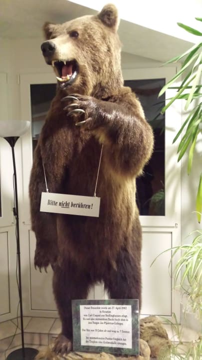 Bär im Erdgeschoss Landhotel Wüllner