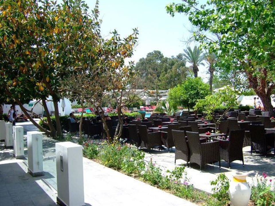 Abendanimation The Orangers Beach Resort and Bungalows