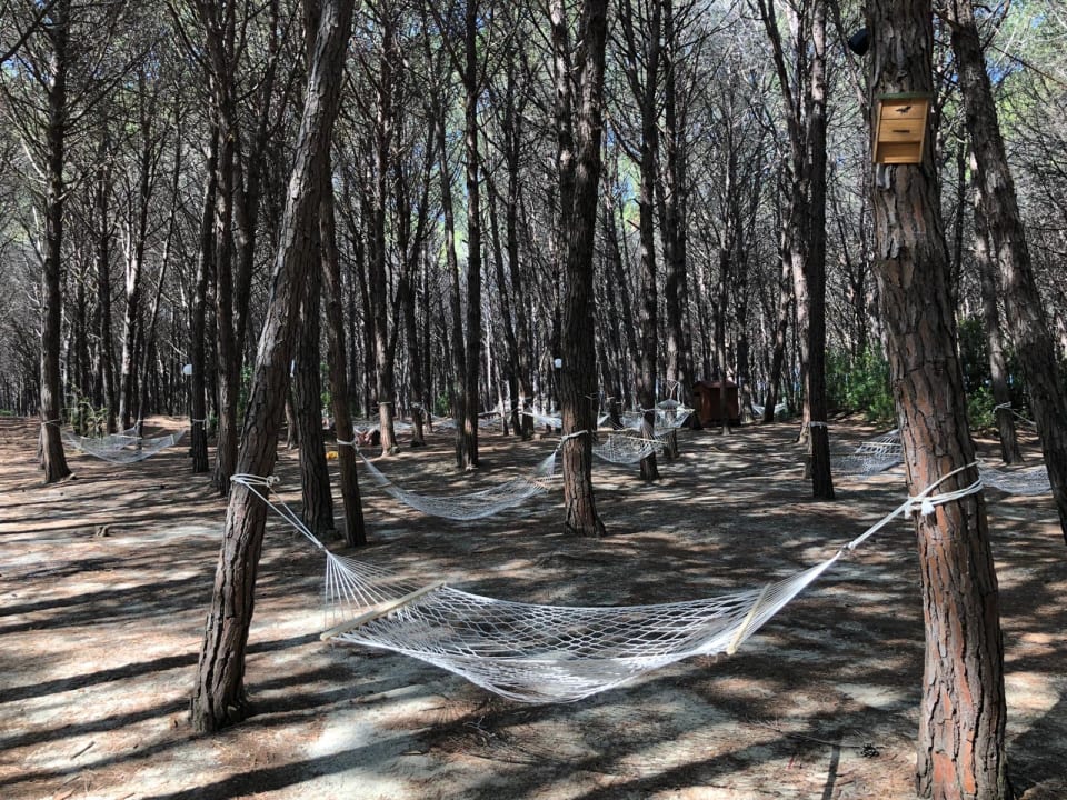 Gartenanlage TUI MAGIC LIFE Calabria