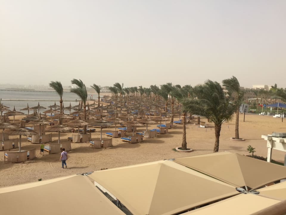 Blick vom Zimmer zum Palace Strand Sandsturm Beach Albatros Resort