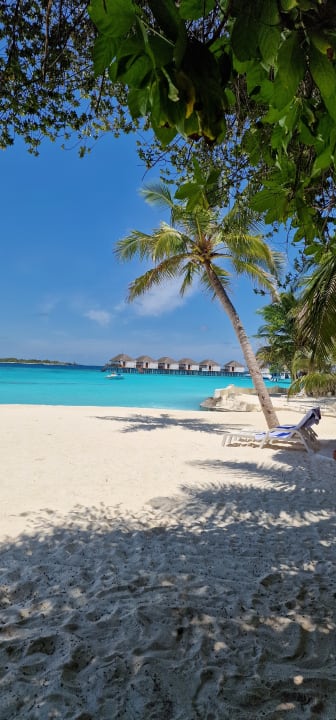 Strand Thulhagiri Island Resort