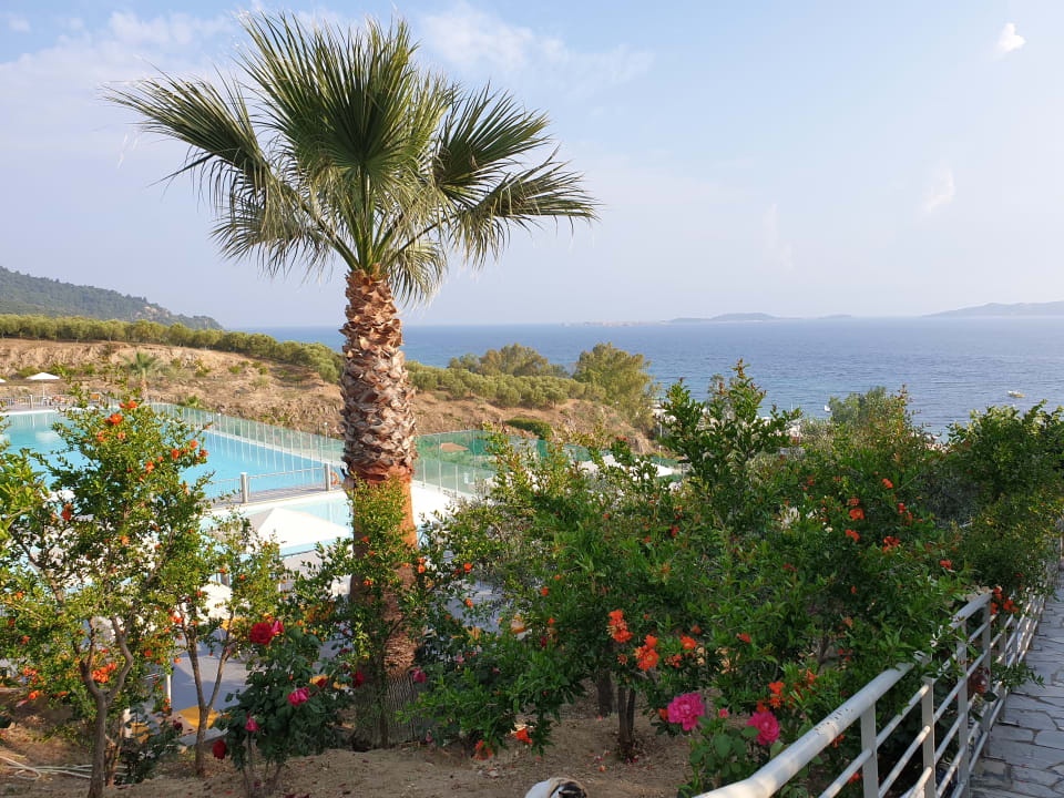 Gartenanlage Akrathos Beach Hotel