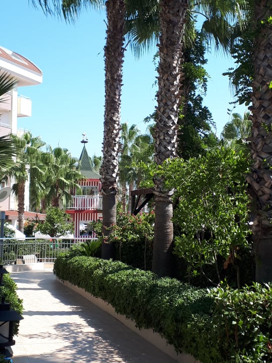 Gartenanlage Hane Family Resort