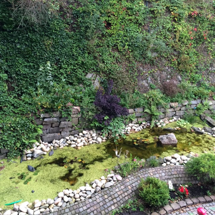 Teich Landhotel-Menke