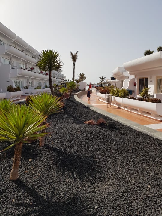 Außenansicht allsun App.-Hotel Barlovento