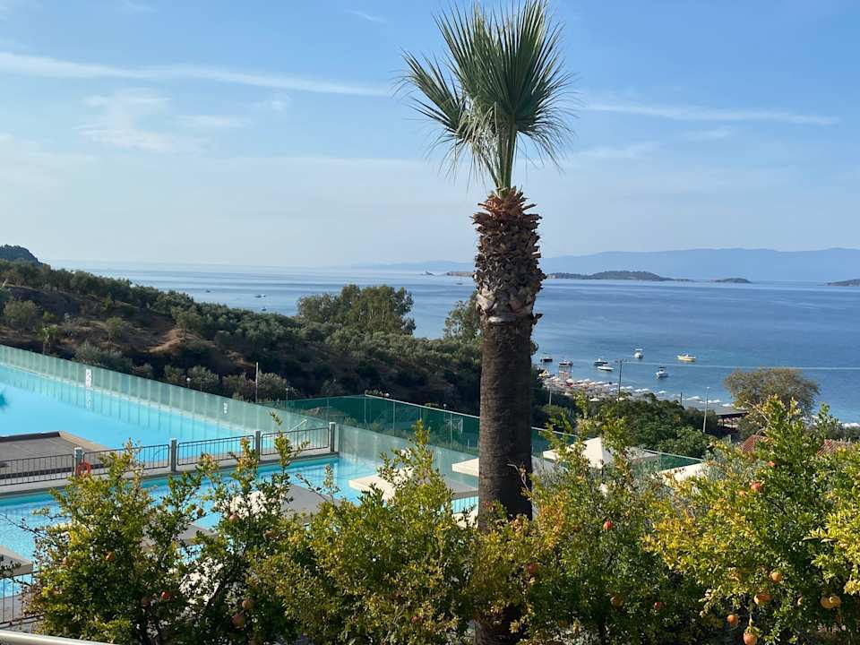 Pool Akrathos Beach Hotel