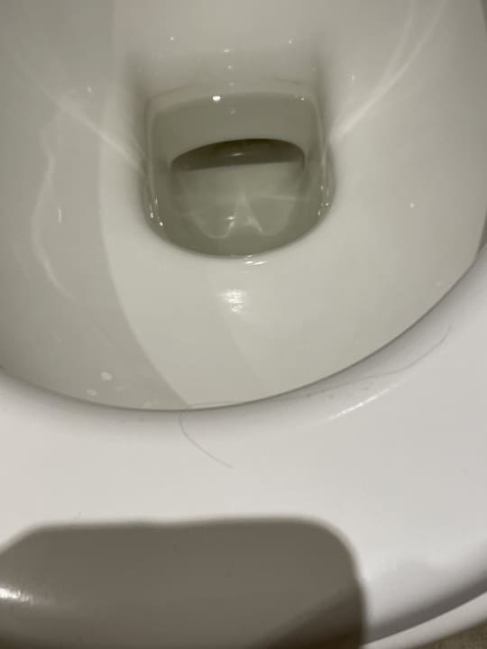 Zimmer Waldhotel Berghof