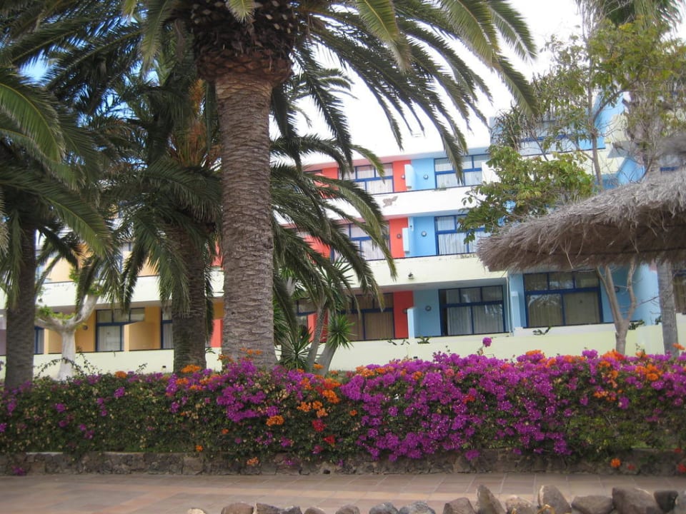 Zimmer mit Balkon SBH Fuerteventura Playa