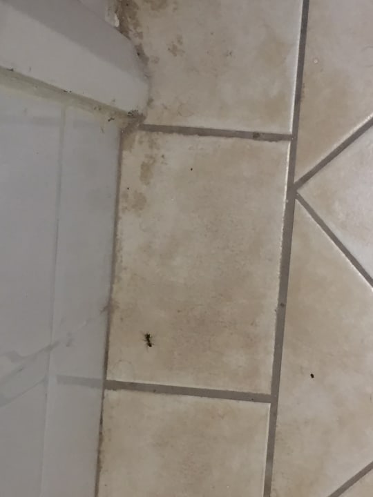 Zimmer Djerba Aqua Resort