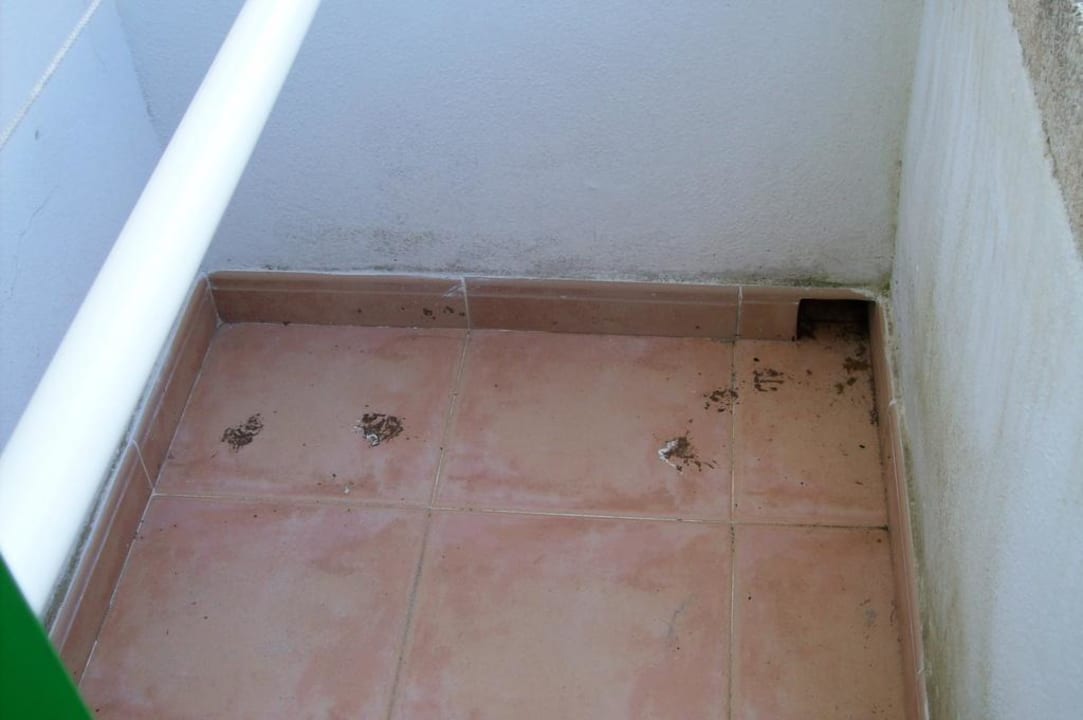 Dreck BLUESEA Cala Millor