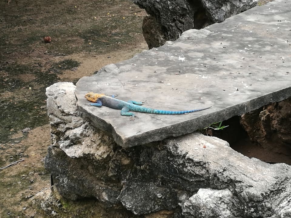 Sonstiges Bahari Beach Hotel