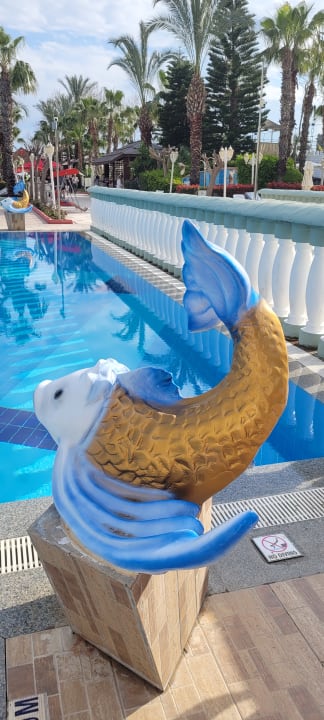 Pool Hotel Delphin Imperial