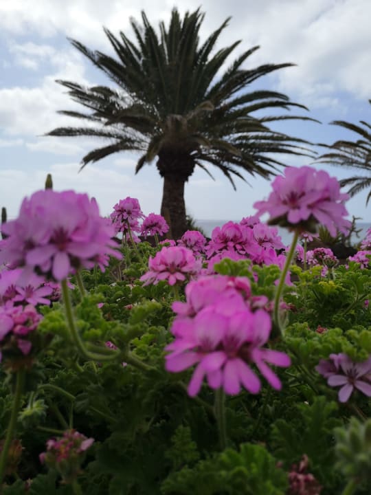 Gartenanlage R2 Pajara Beach