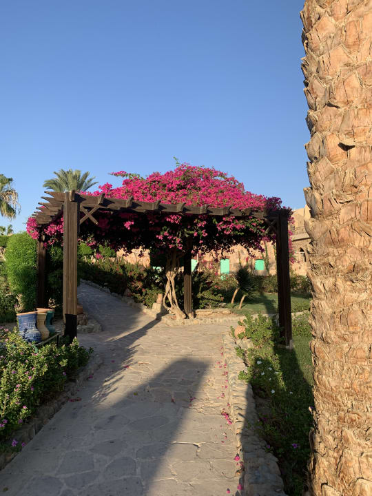 Gartenanlage Utopia Beach Club