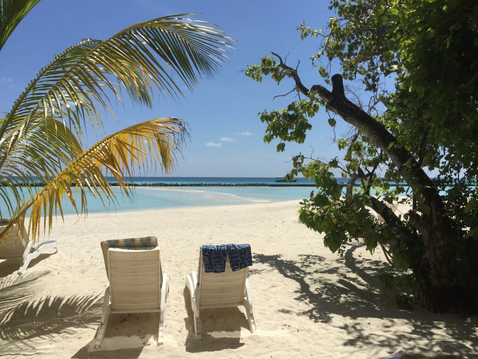 Strand Summer Island Maldives