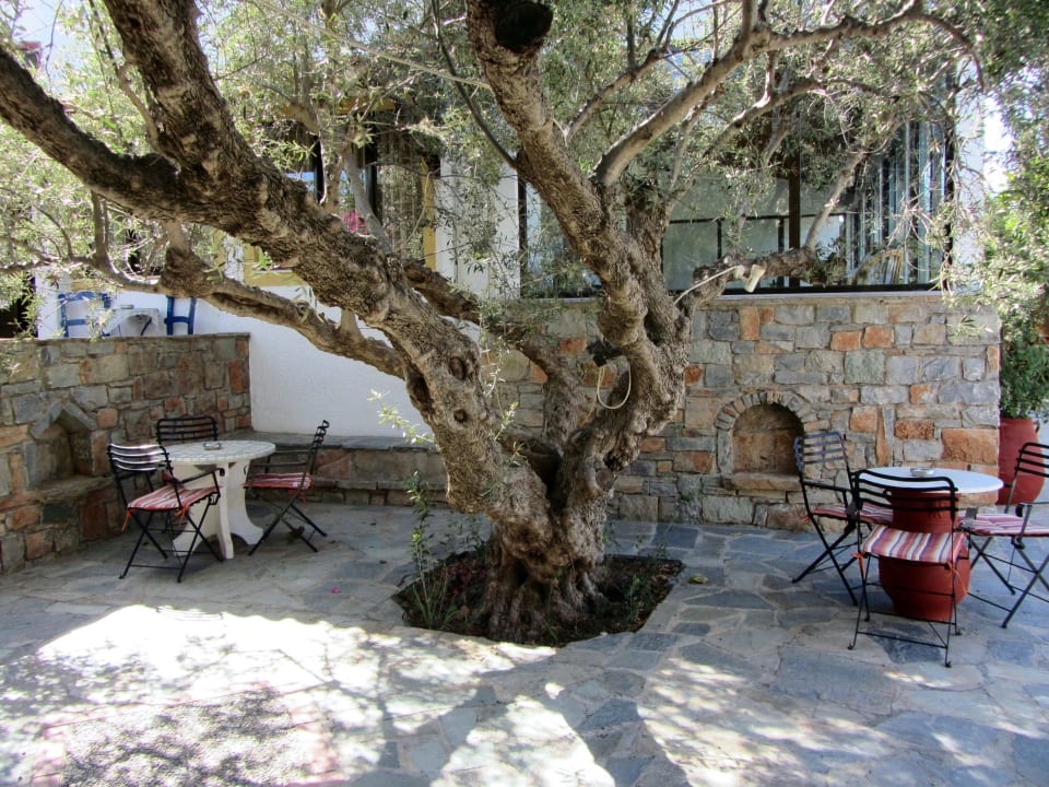 Schattiges Plätzchen Hotel Marina Village