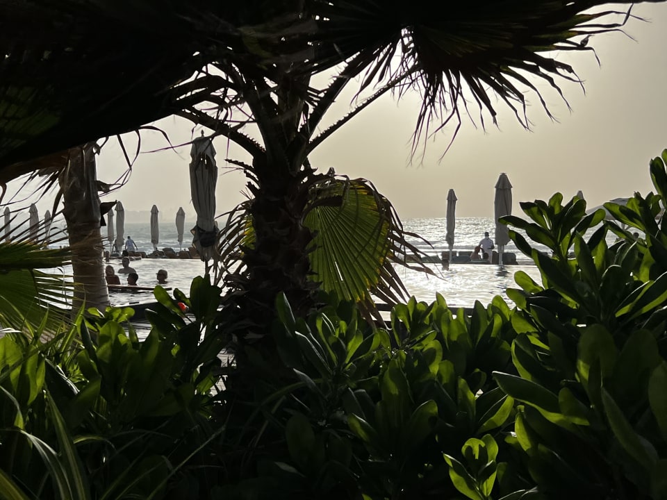 Pool Jumeirah Mina Al Salam