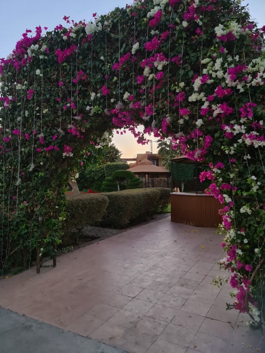 Gartenanlage Stella Beach Resort & Spa Makadi Bay