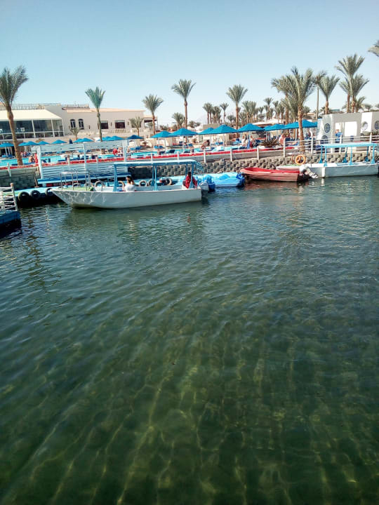 Sonstiges Pickalbatros Dana Beach Resort - Hurghada
