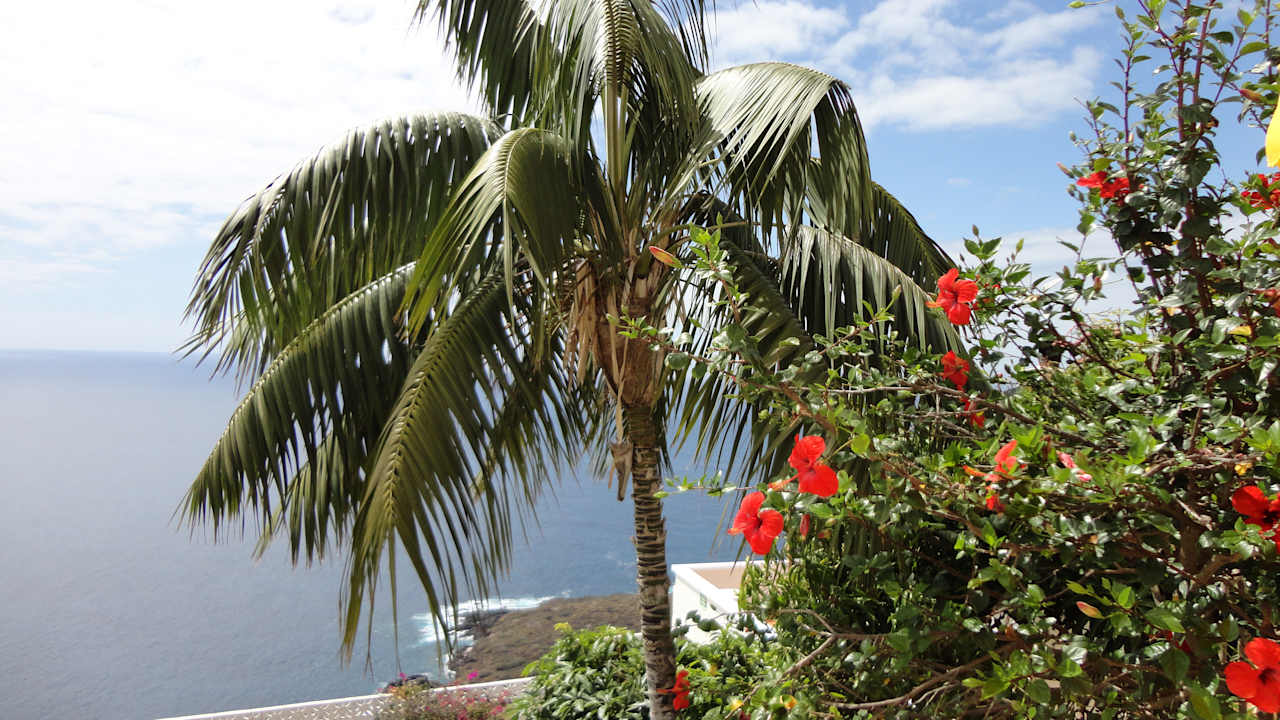Ausblick Jardin Mariposa Retreat- und Seminarzentrum