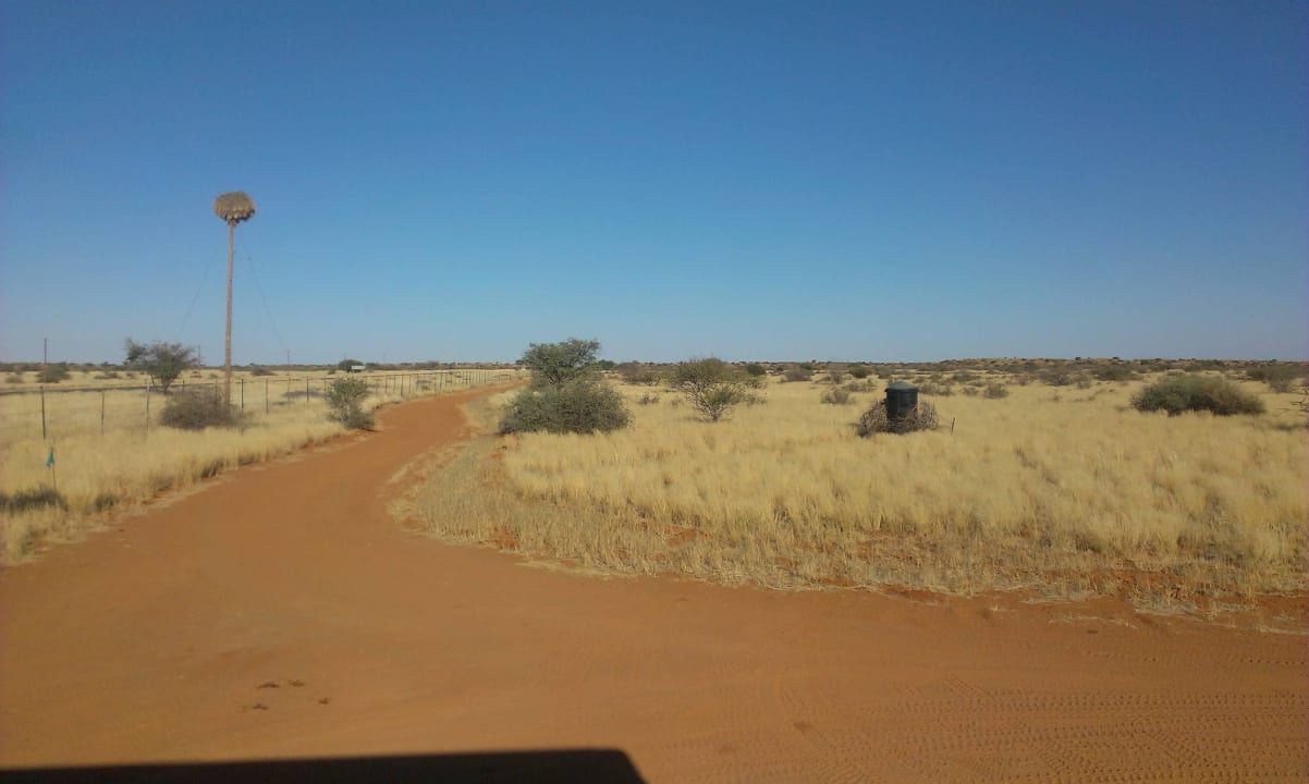 Zufahrt zur Lodge Kalahari Anib Lodge