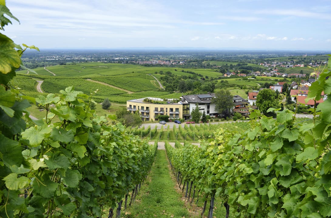 Außenansicht Hotel Rebenhof
