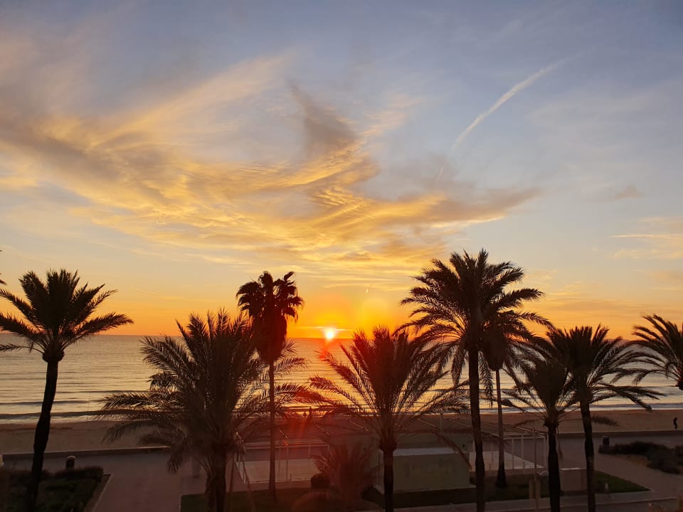 Ausblick Grupotel Acapulco Playa - Adults only